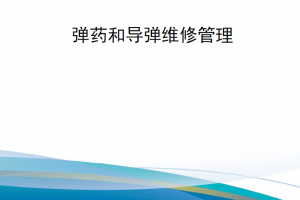 【新书上架】美国空军部手册DAFMAN 21-200 弹药和导弹维修管理 2024版