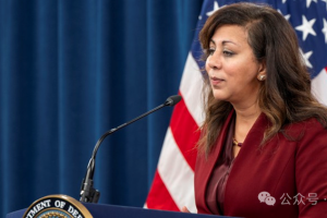 【战略观察】美国技术高管呼吁政府加速人工智能发展