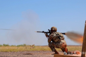 【新闻资讯】美国防部采取系列措施以保障服役人员大脑健康