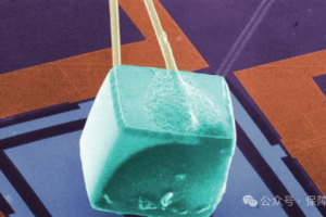 【新闻资讯】美国防后勤局考虑动用战略矿产储备应对供应链危机